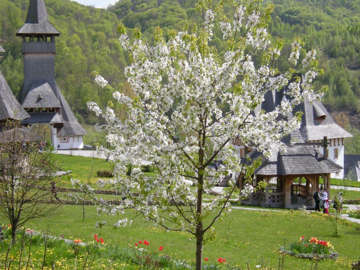 Hotel Cabana Iza Bîrsana Zewnętrze zdjęcie