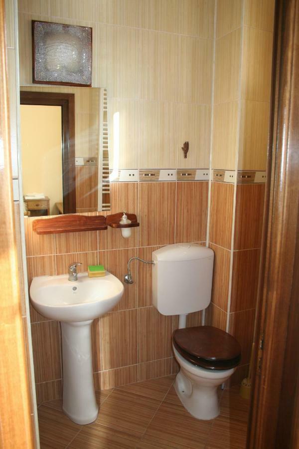 Hotel Cabana Iza Bîrsana Zewnętrze zdjęcie