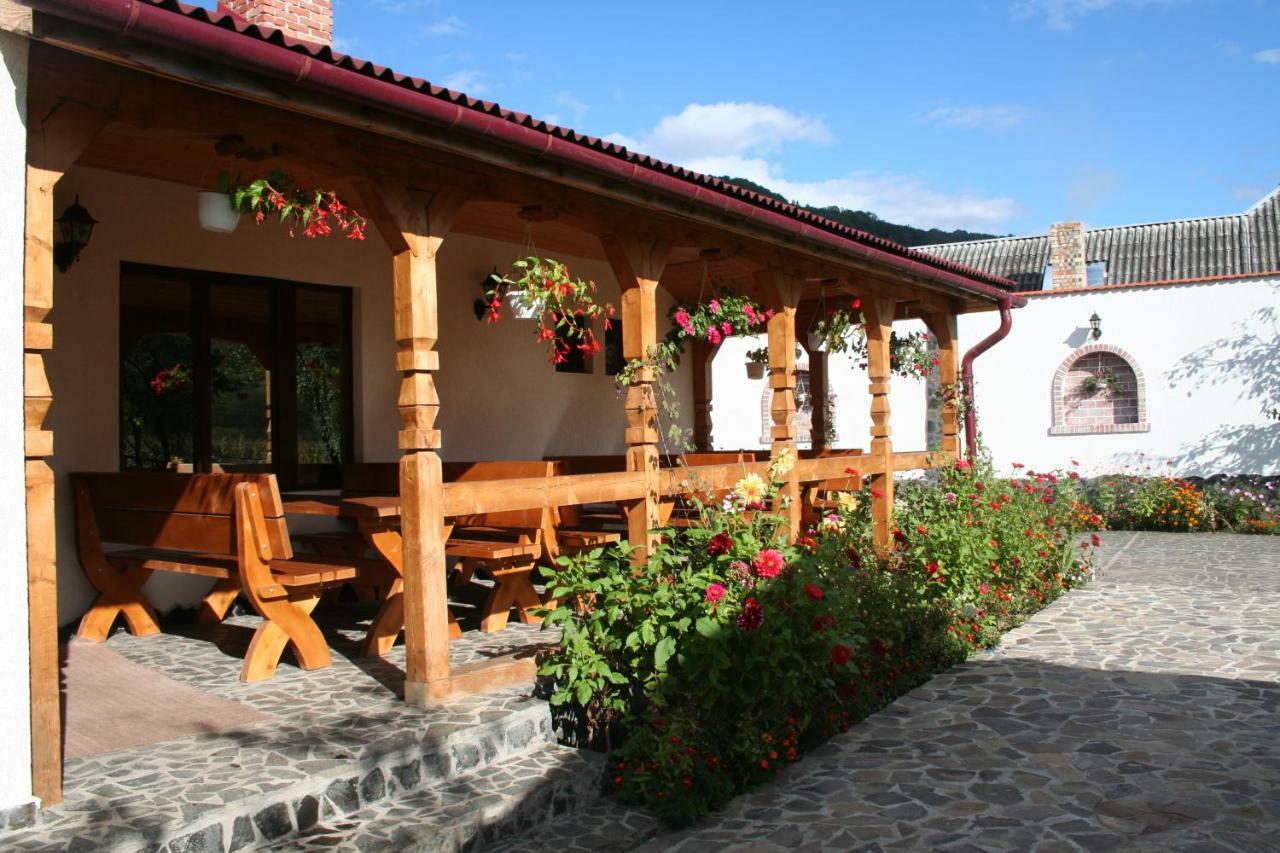 Hotel Cabana Iza Bîrsana Zewnętrze zdjęcie